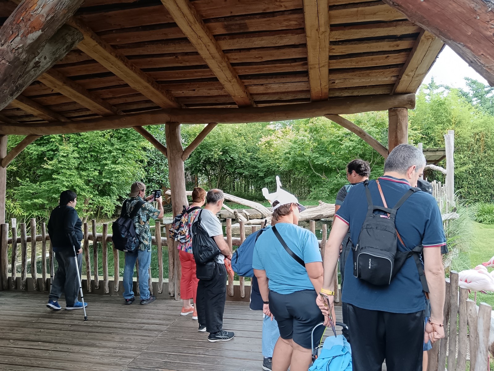 Journee au parc animalier des pyrenees 