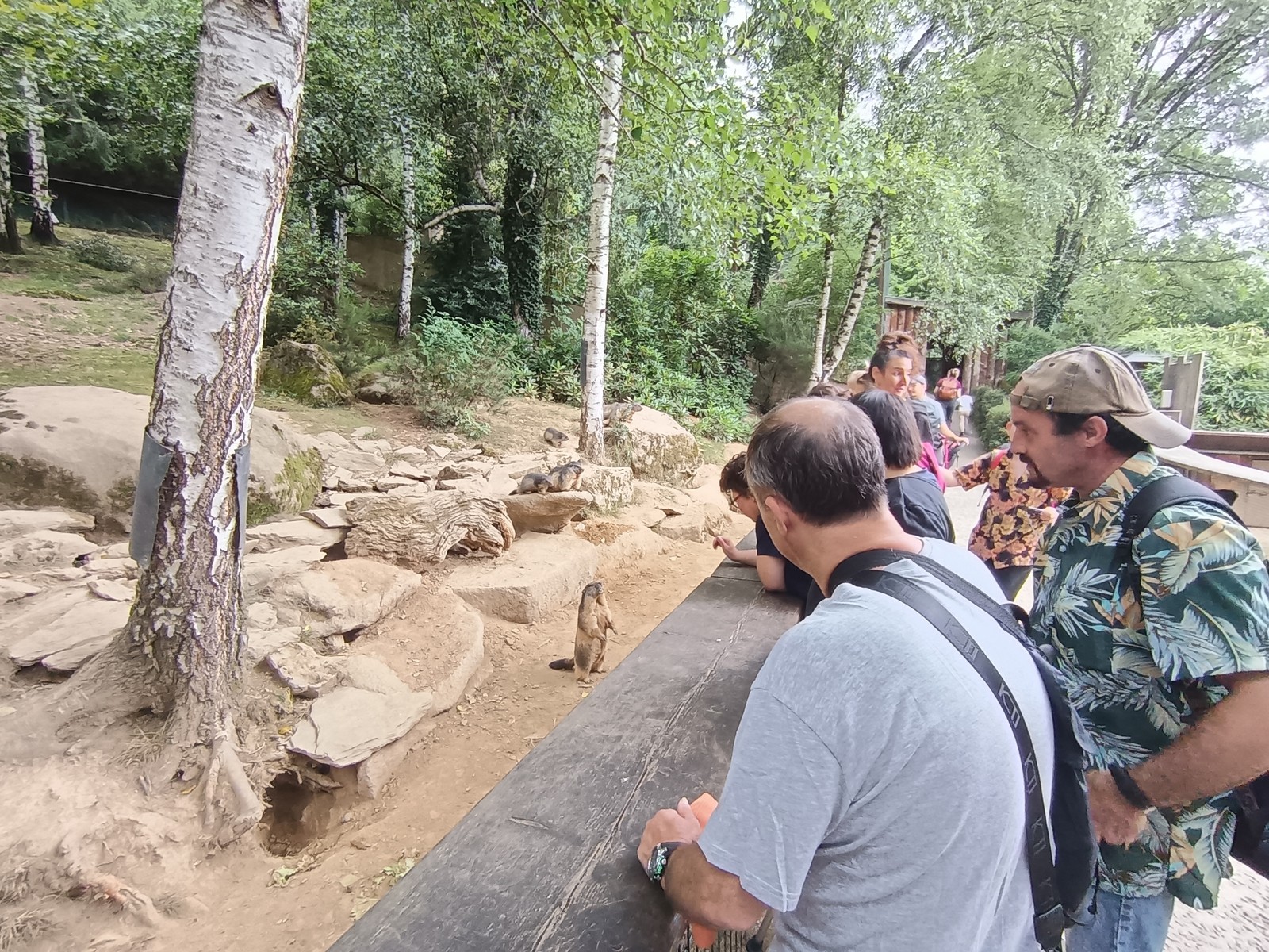 Journee au parc animalier des pyrenees 