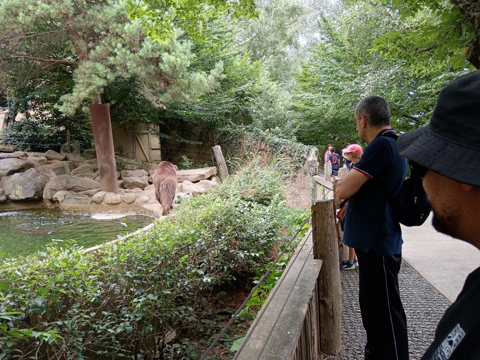 Journee au parc animalier des pyrenees  