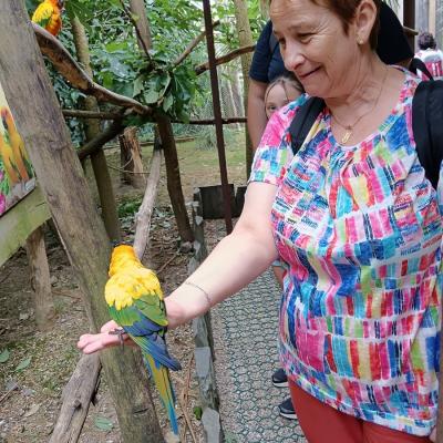 Journee au parc animalier des pyrenees 