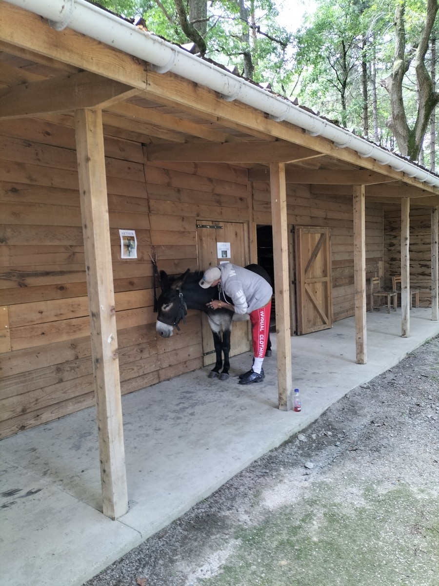 Visite et activites a la ferme de la montjoie 49 