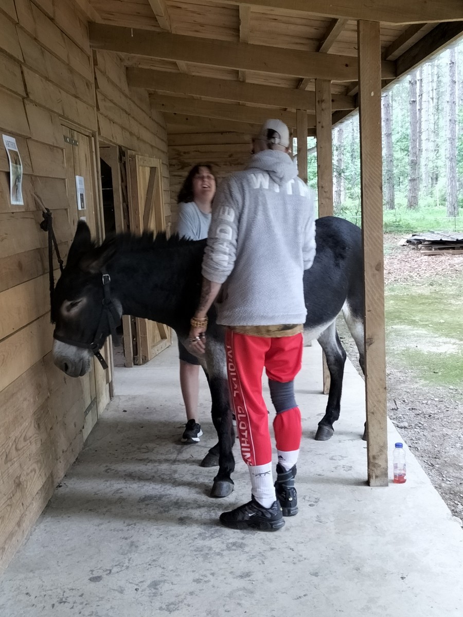 Visite et activites a la ferme de la montjoie 52 