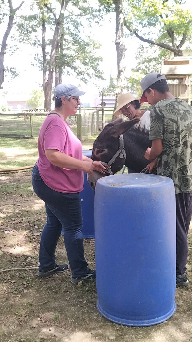 Visite et activites a la ferme de la montjoie 55 