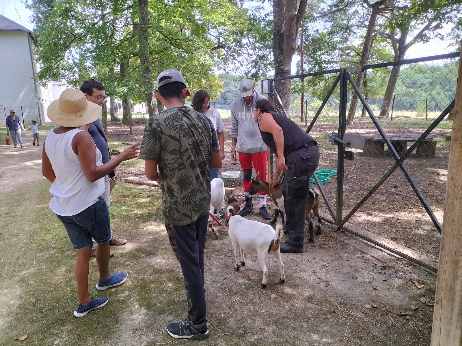 Visite et activites a la ferme de la montjoie 62 