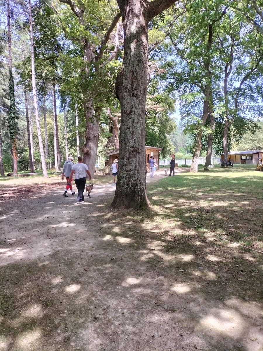 Visite et activites a la ferme de la montjoie 65 