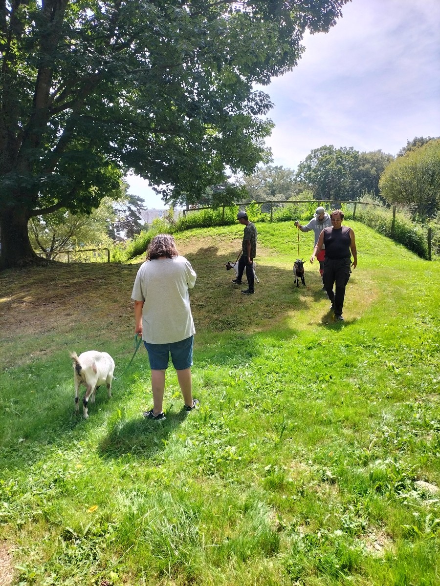 Visite et activites a la ferme de la montjoie 71 