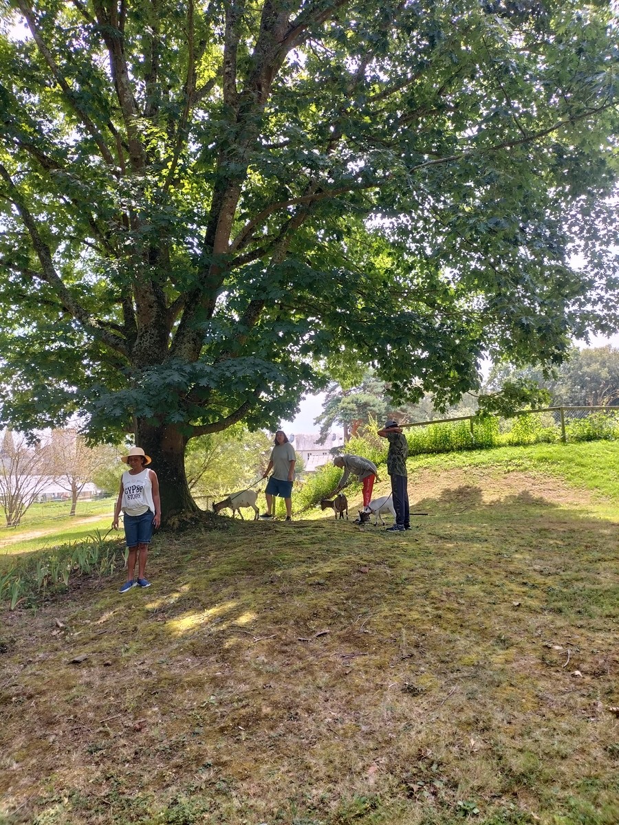 Visite et activites a la ferme de la montjoie 72 